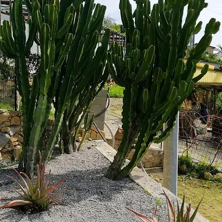 3 Bedrooms House With Sea View Furnished Garden And Wifi At 別荘 *