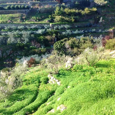 Σπίτι διακοπών 3 Bedrooms House With Sea View Furnished Garden And Wifi At